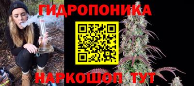 шишки Среднеуральск