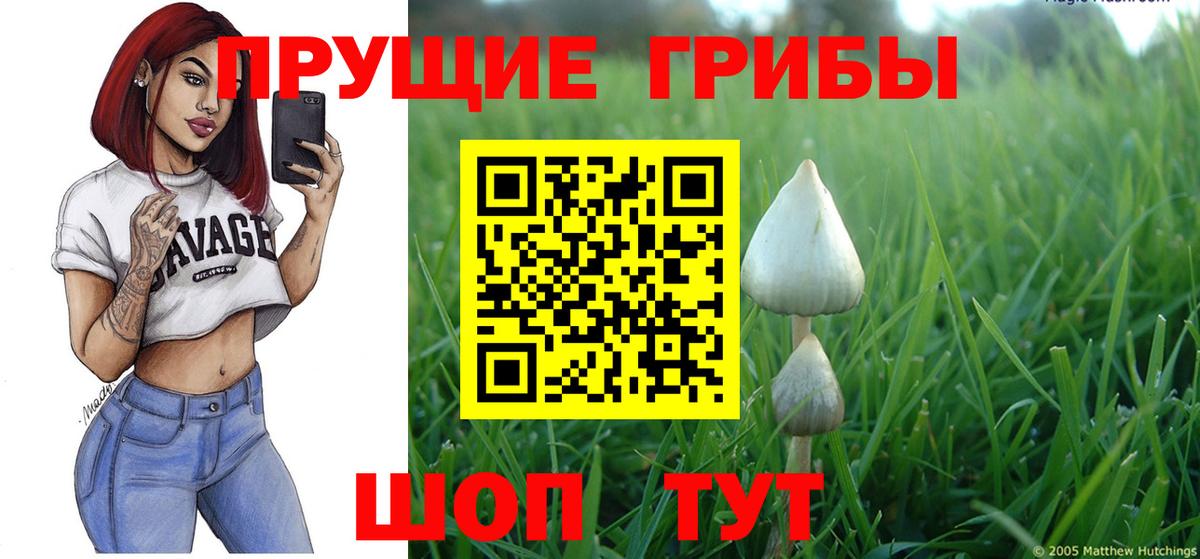 Новочеркасск  Галлюциногенные грибы GOLDEN TEACHER  Вход с VPN 